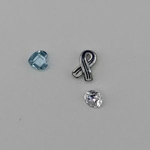 Origami Owl ALS Charm Set